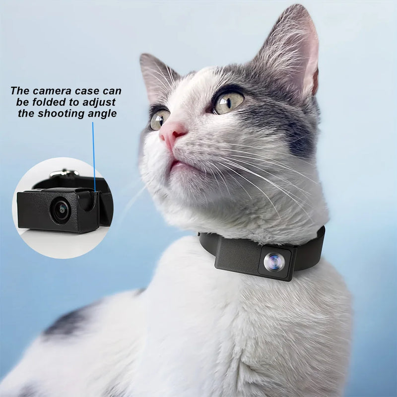 Smart Dog Technology