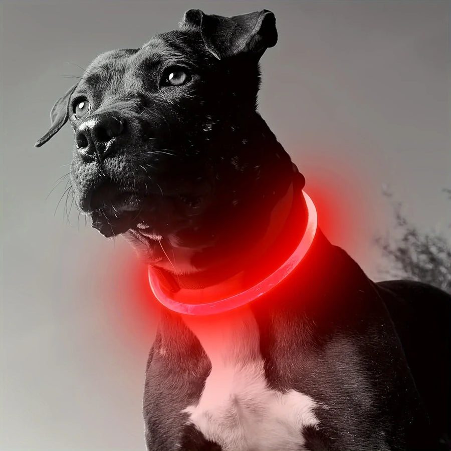 LED Light-Up Dog Collar