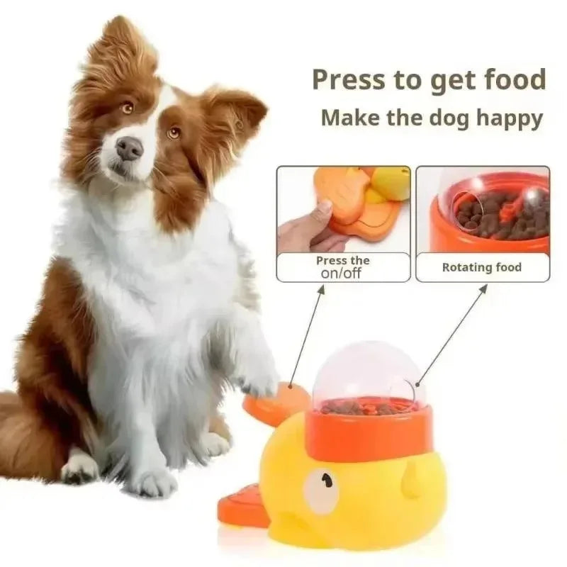 Happy Dog Collection