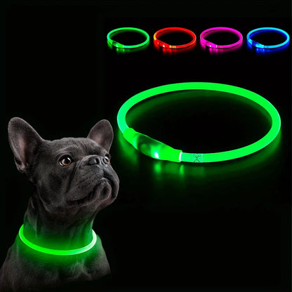 LED Light-Up Dog Collar